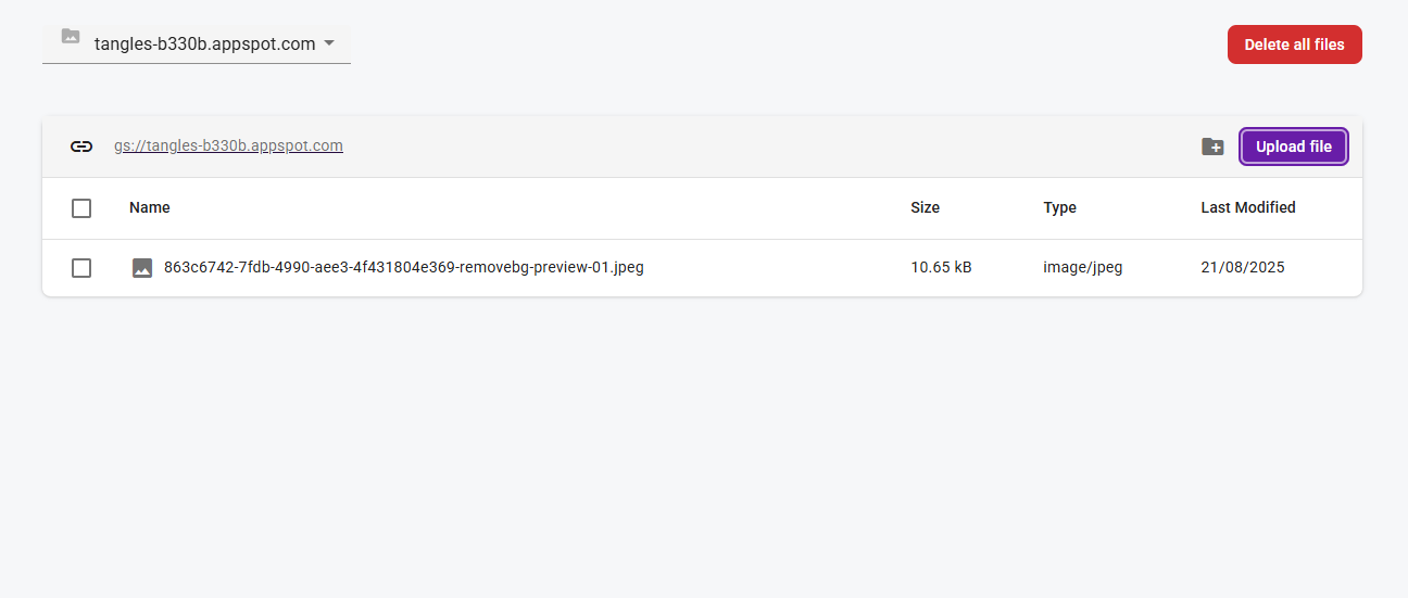 Uploaded image in bucket